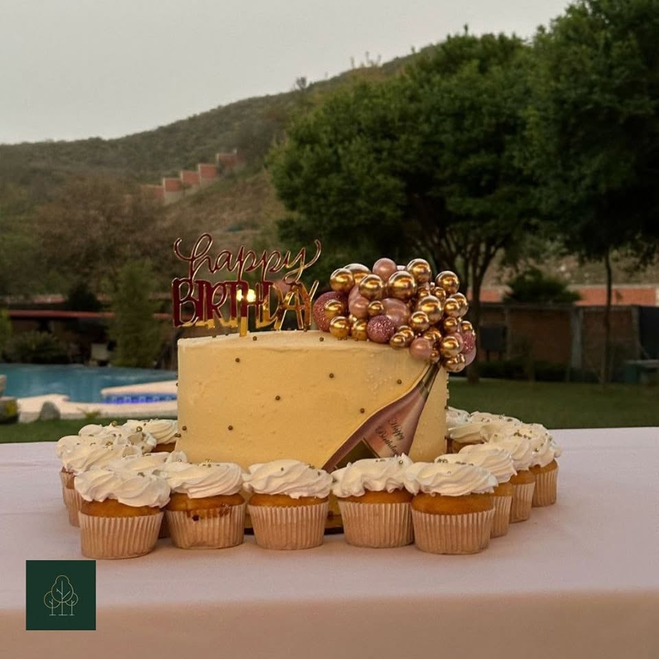 Cumpleaños junto a la alberca